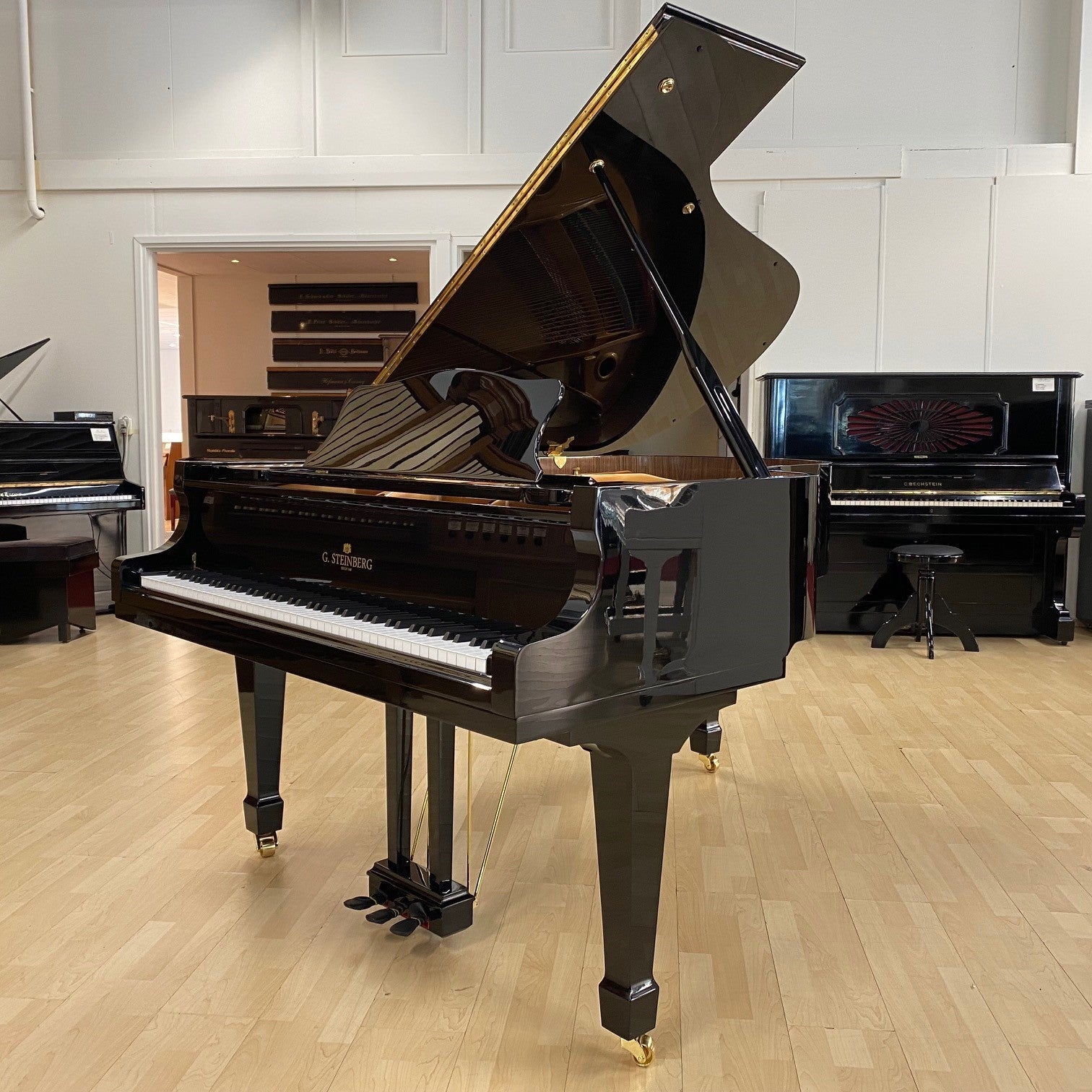 G. Steinberg Vleugel GP-185 Economy