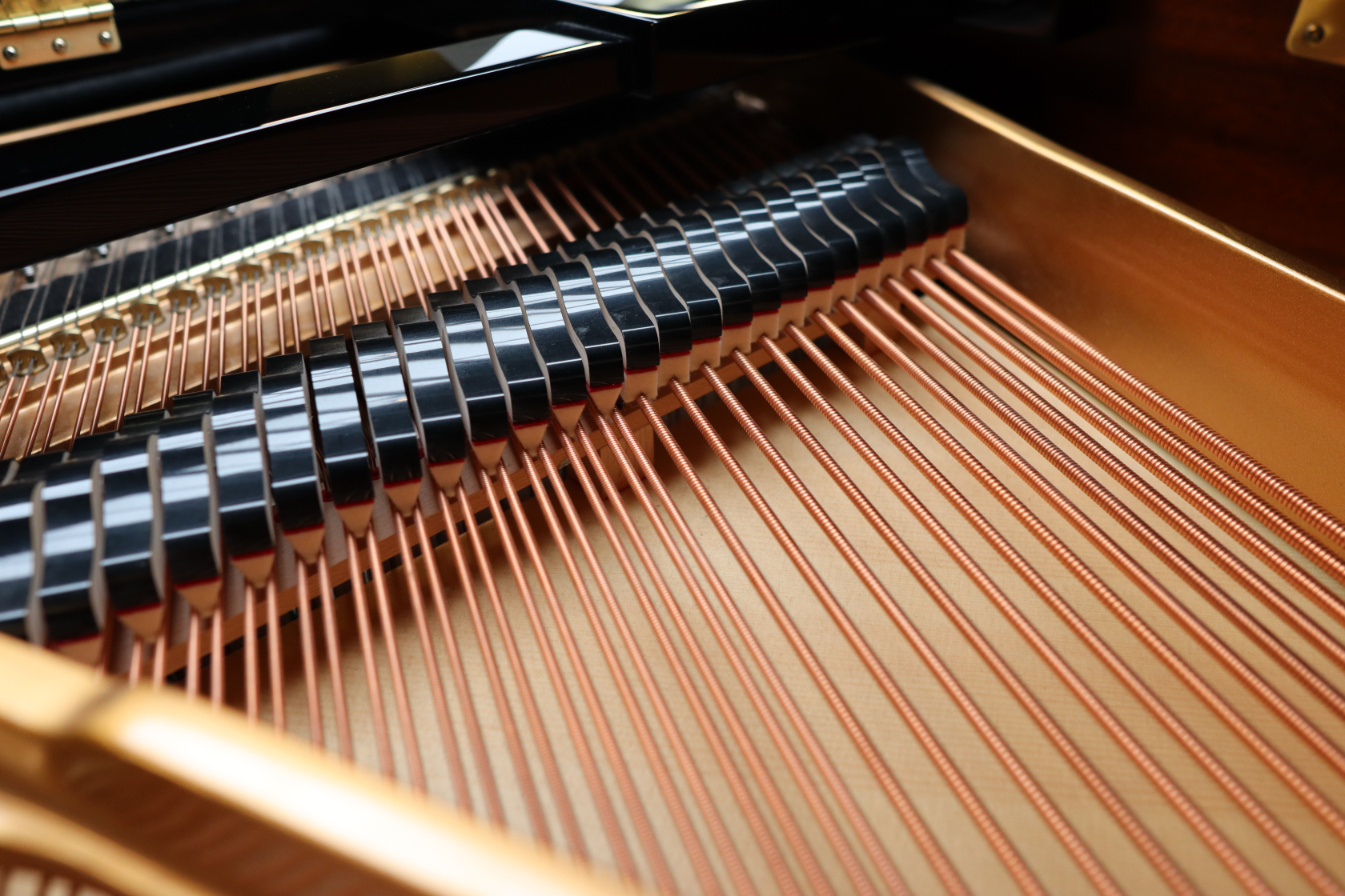 W. Hoffmann V-158 (2018)
