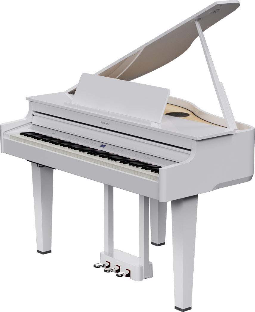 Roland GP-6 Digitale Vleugel PW