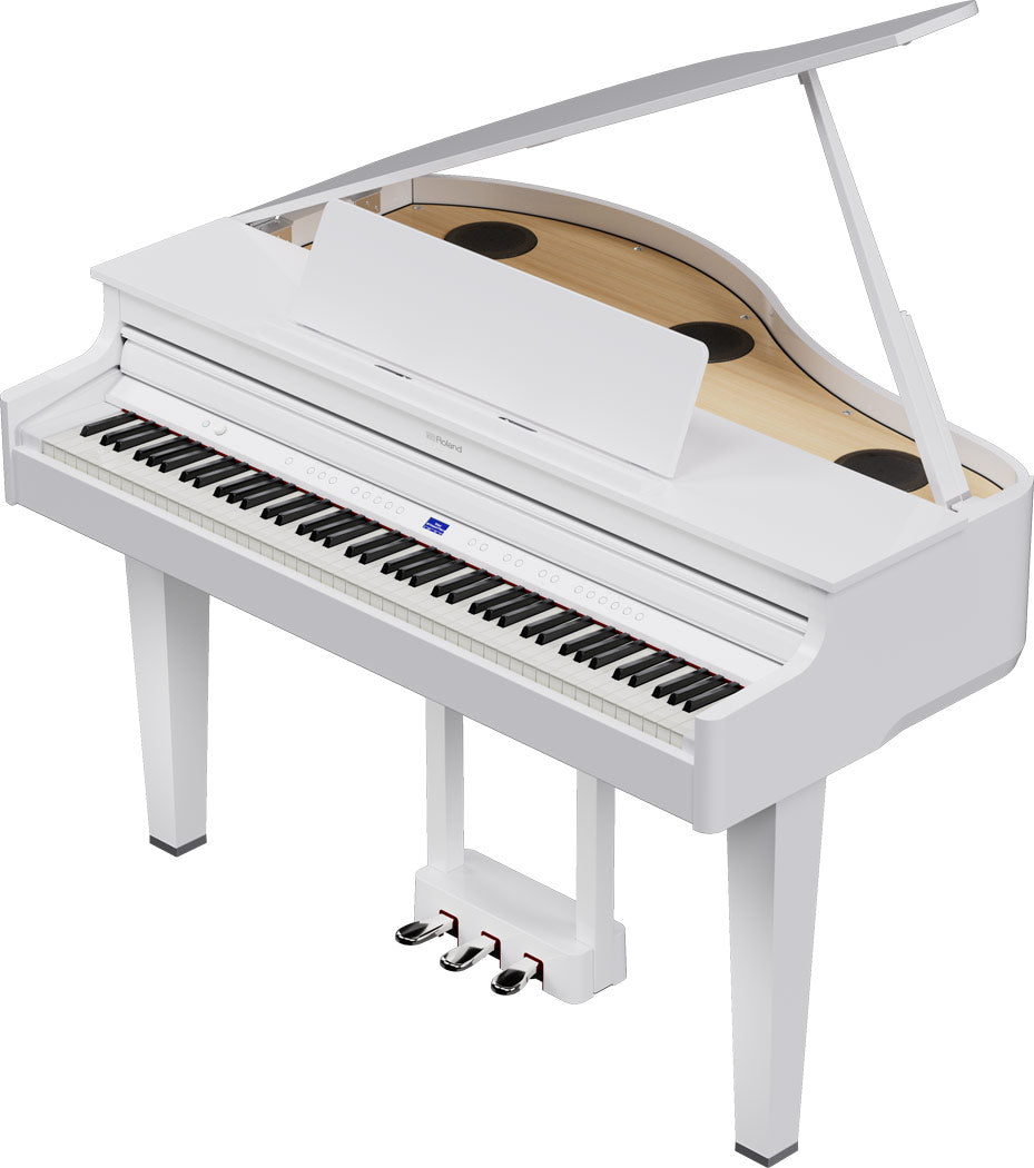 Roland GP-6 Digitale Vleugel PW