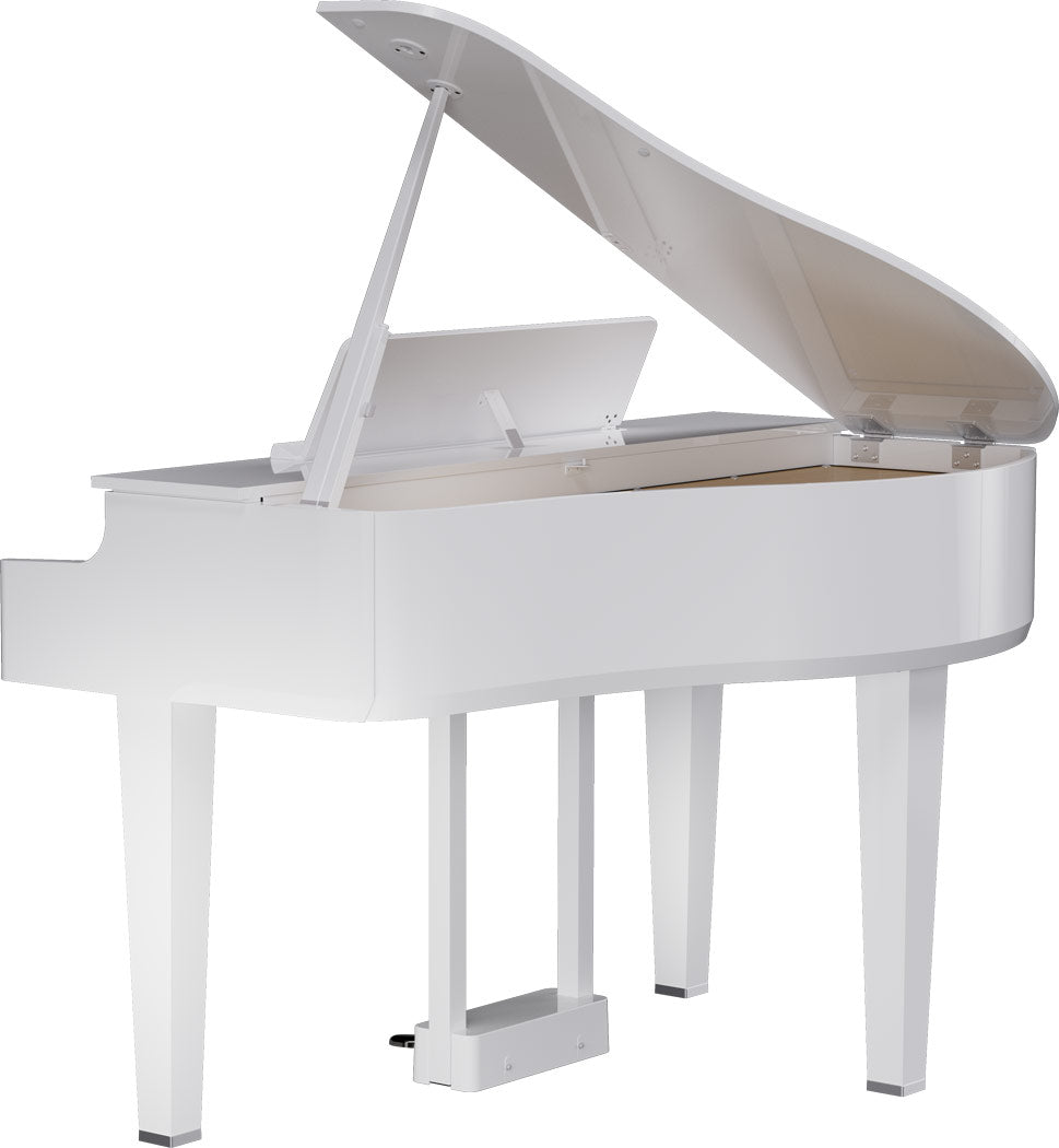 Roland GP-6 Digitale Vleugel PW
