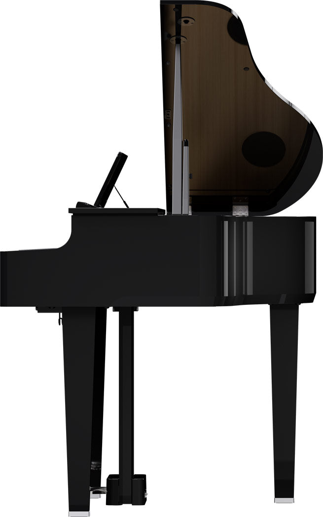 Roland GP-6 Digitale Vleugel PE