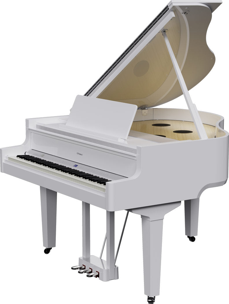 Roland GP-9 Digitale Vleugel PW