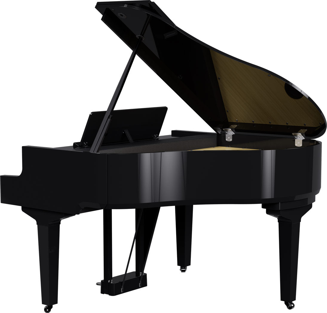 Roland GP-9 Digitale Vleugel PE