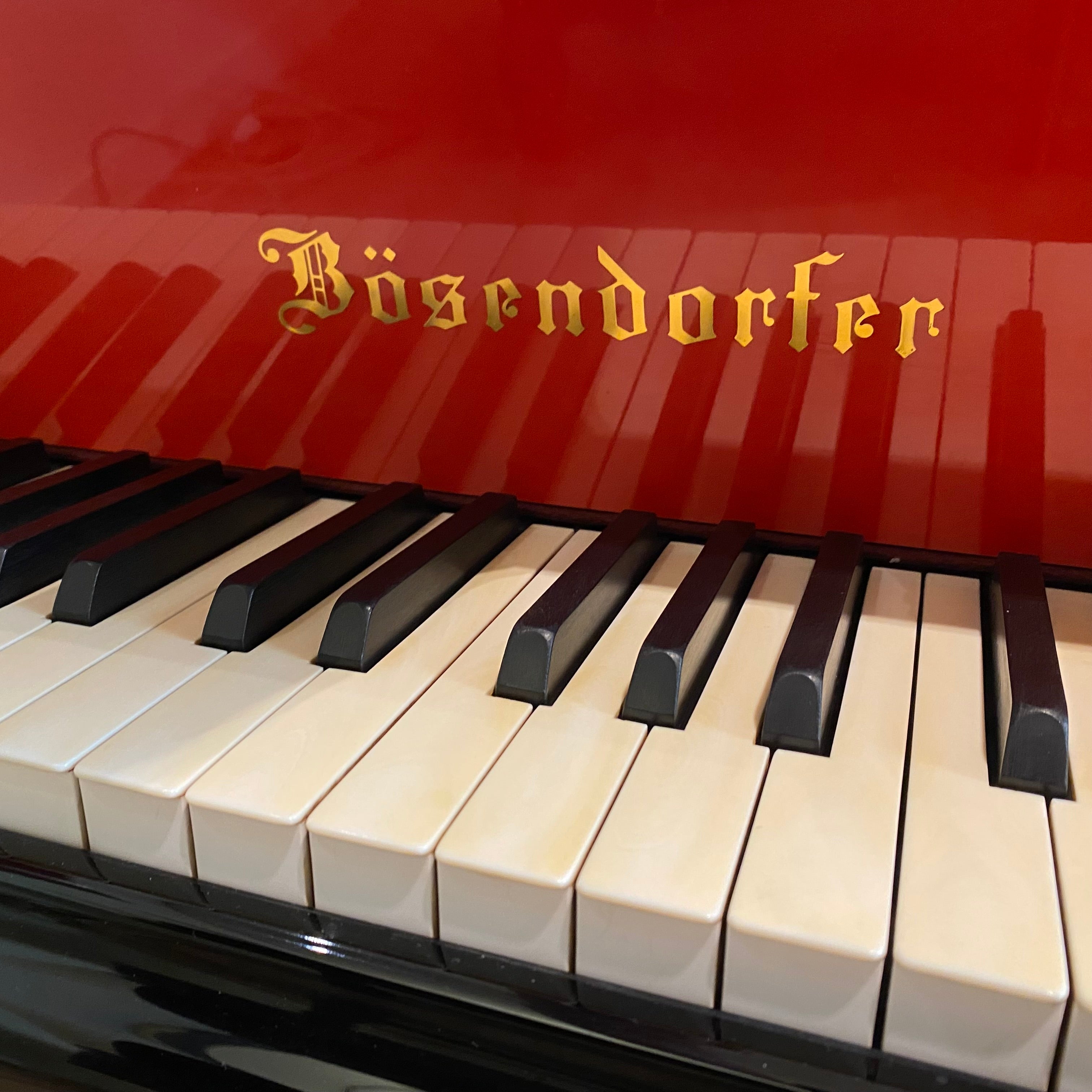 Bösendorfer 290 Imperial vleugel, Hollein editie (1993)