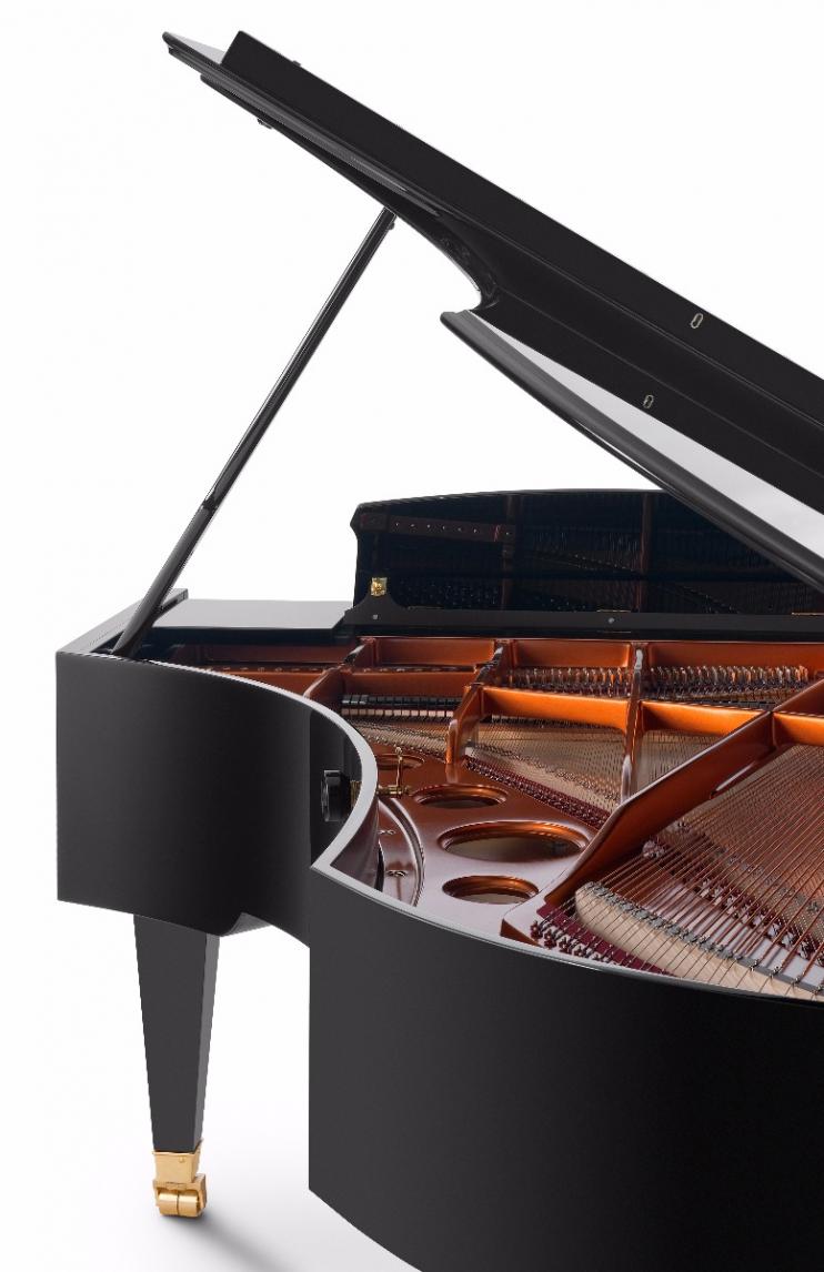 Bösendorfer 225 Zwarte Vleugel 2