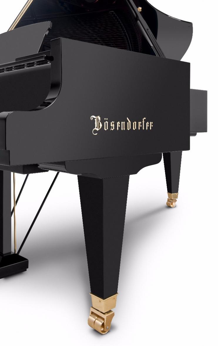 Bösendorfer 225 Zwarte Vleugel 5