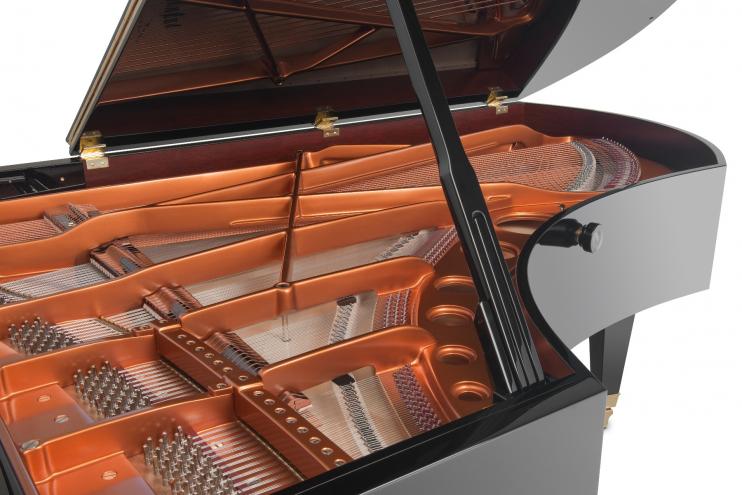 Bösendorfer 225 Zwarte Vleugel 4