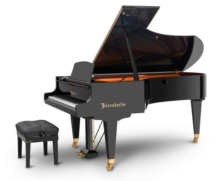 Bösendorfer 225 Zwarte Vleugel 6