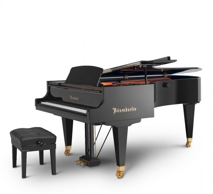 Bösendorfer 225 Zwarte Vleugel 7