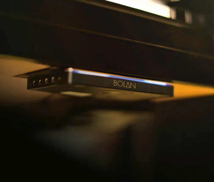 Frontier Silent System Vleugel