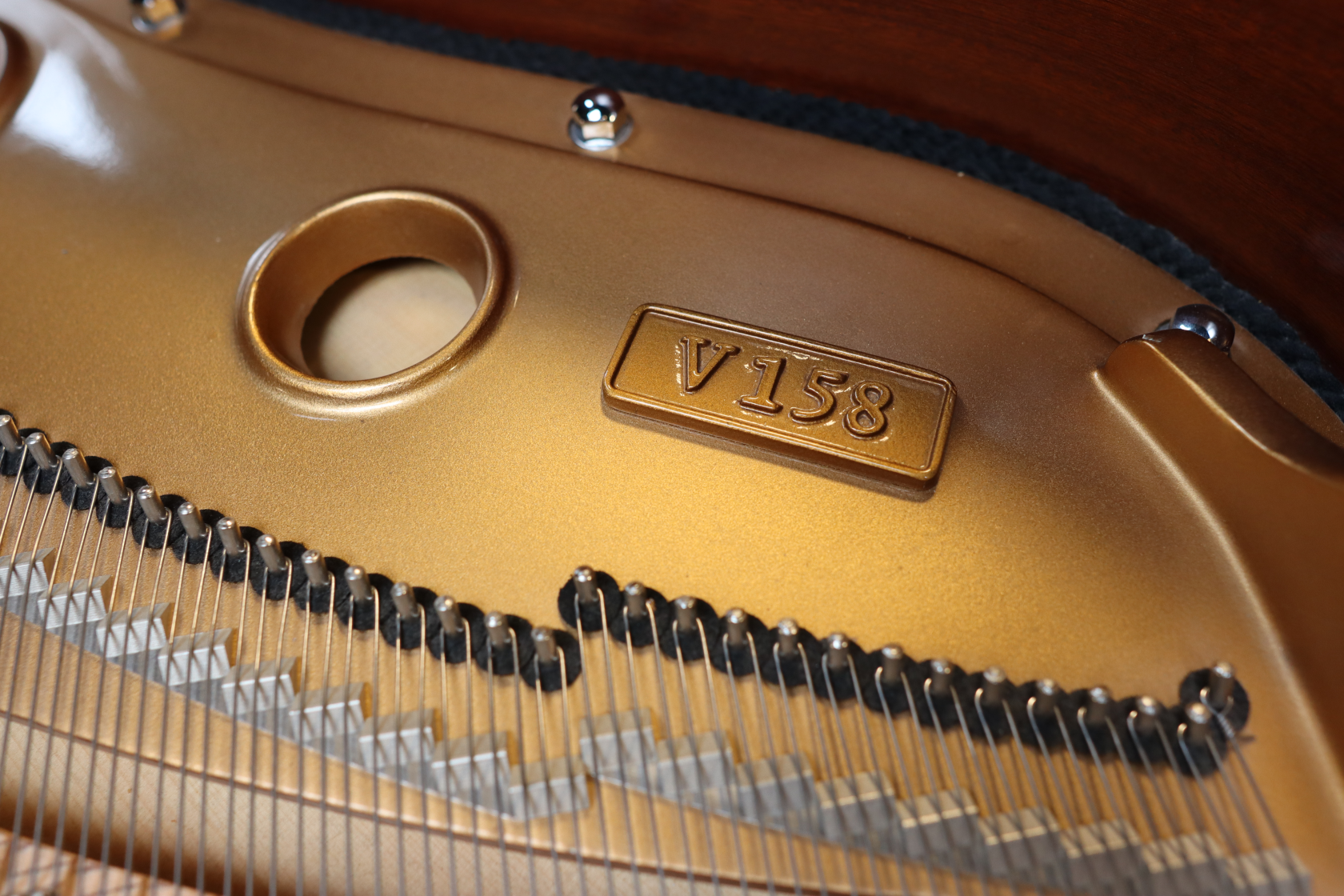 W. Hoffmann V-158 (2018)