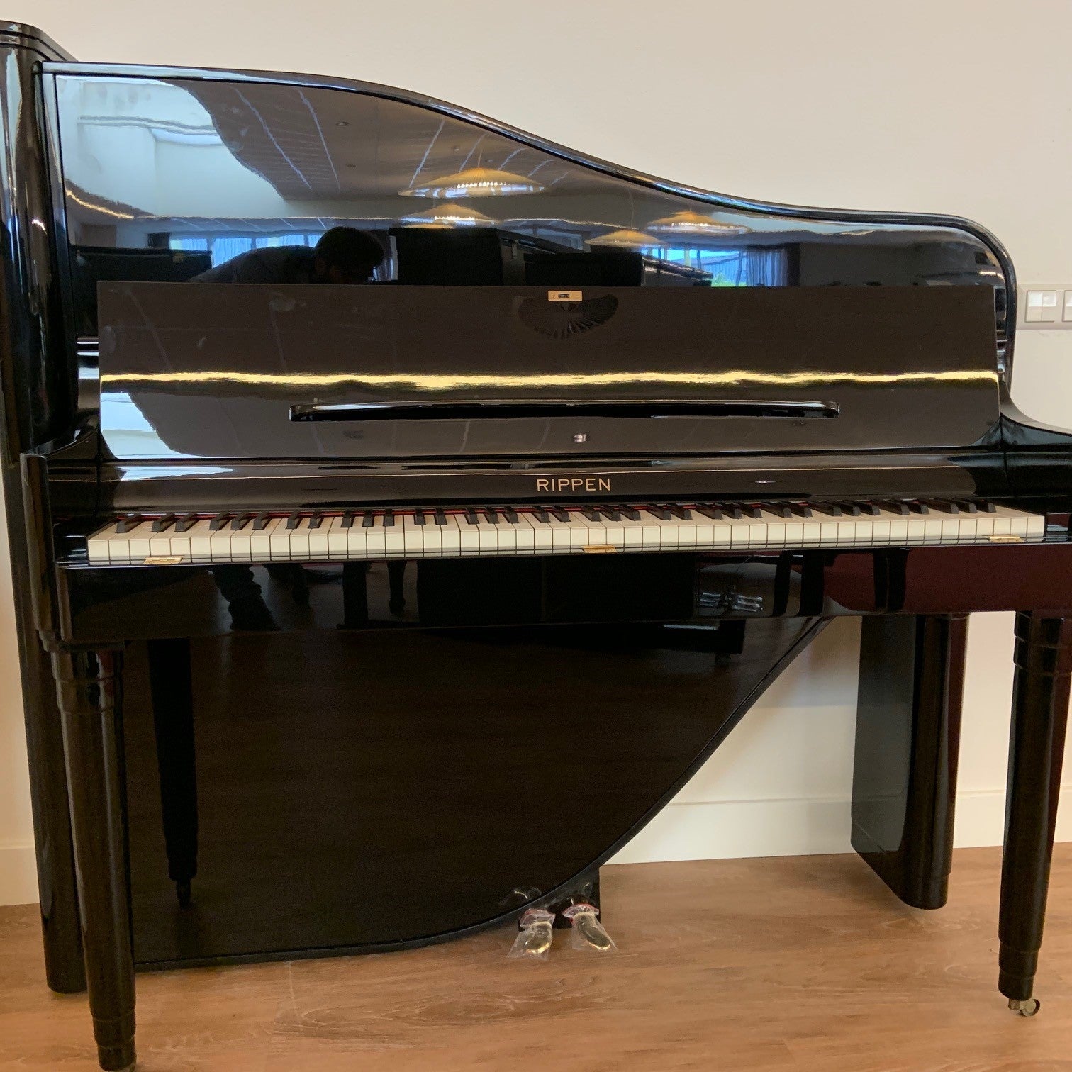 Rippen Maestro Special piano - Staande vleugel 1