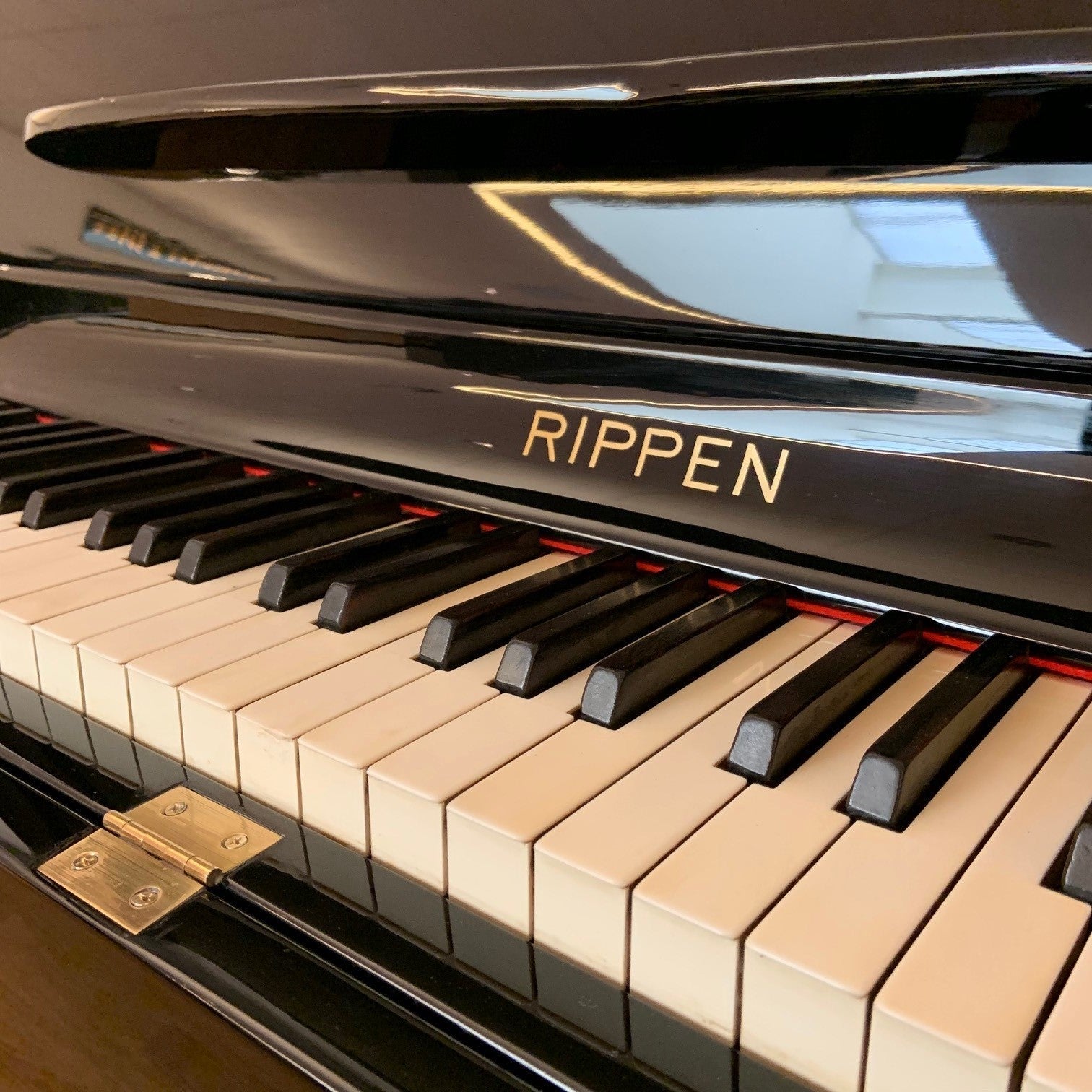 Rippen Maestro Special piano - Staande vleugel 3