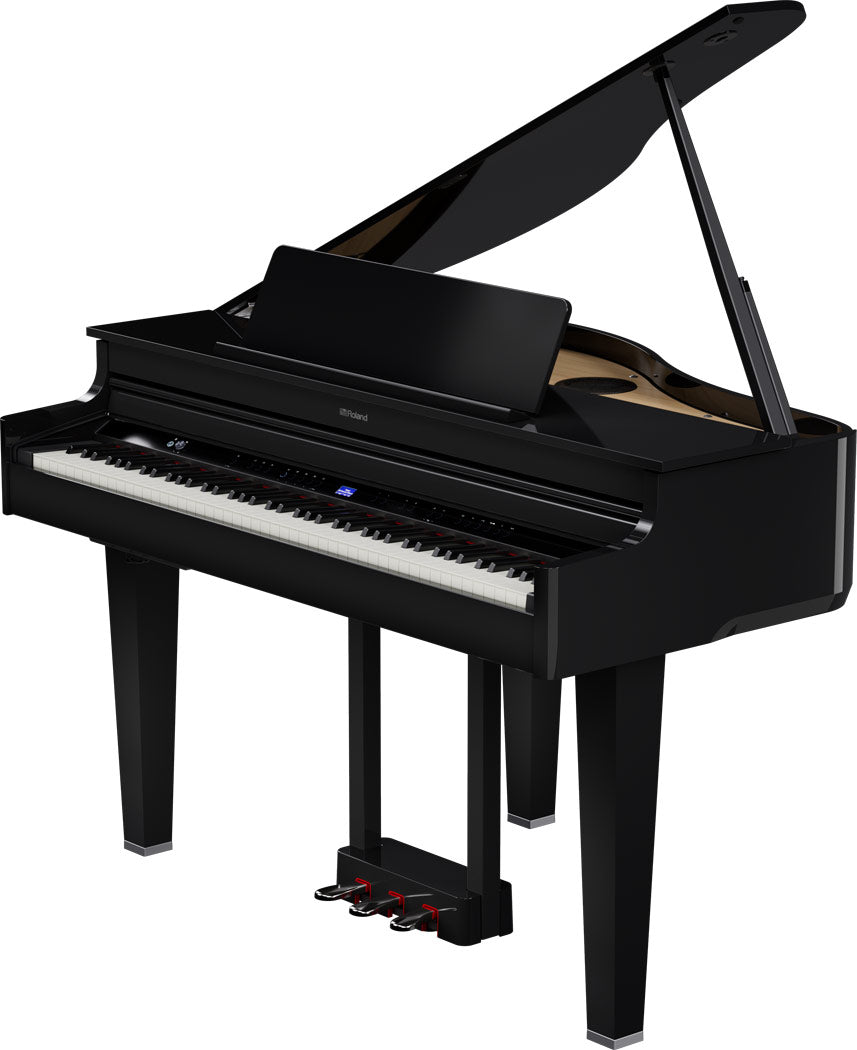Roland GP-6 Digitale Vleugel PE