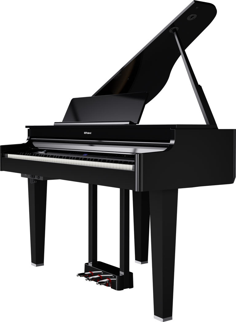 Roland GP-6 Digitale Vleugel PE
