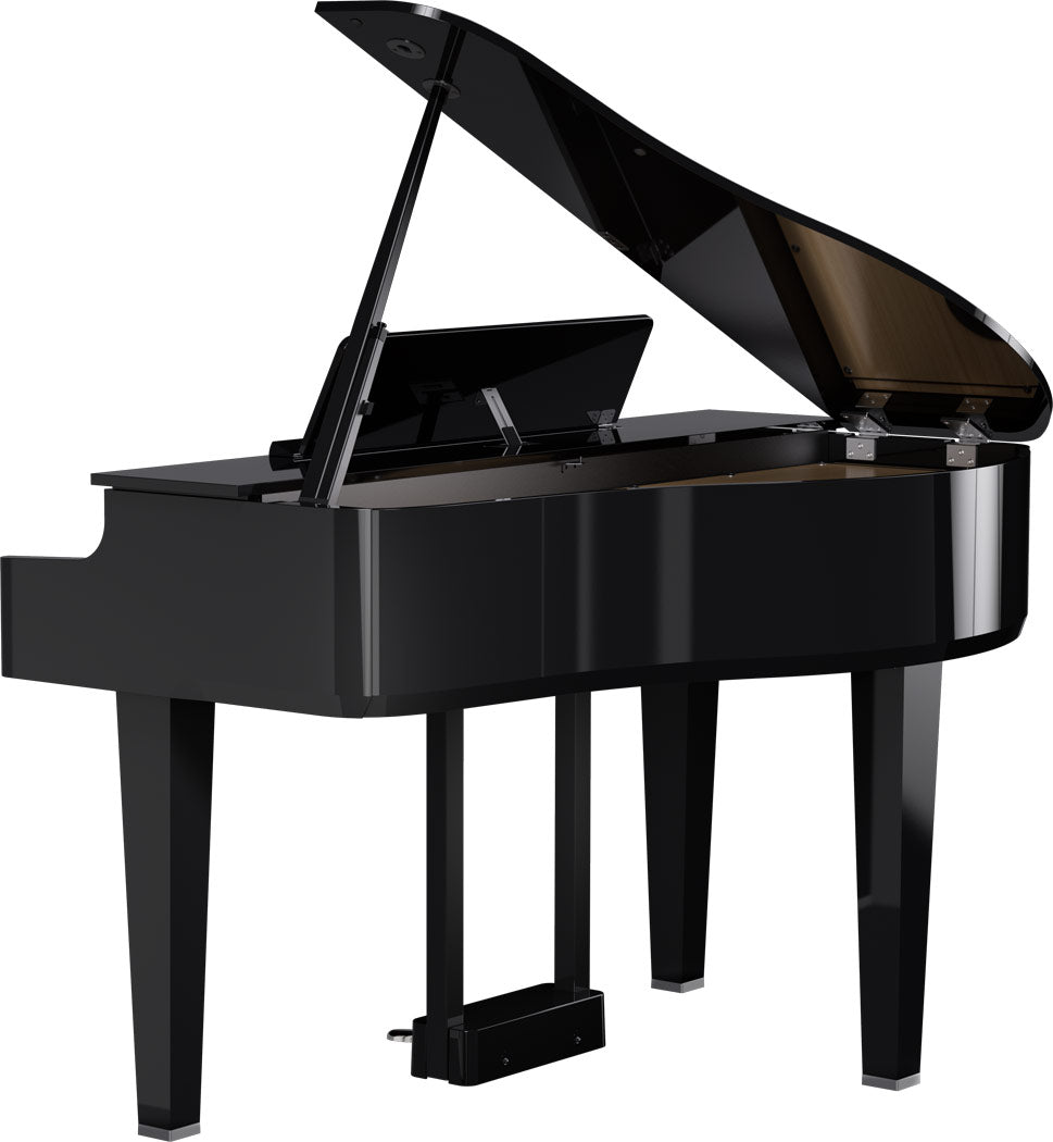 Roland GP-6 Digitale Vleugel PE