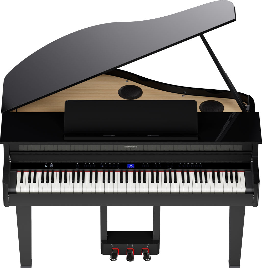 Roland GP-6 Digitale Vleugel PE