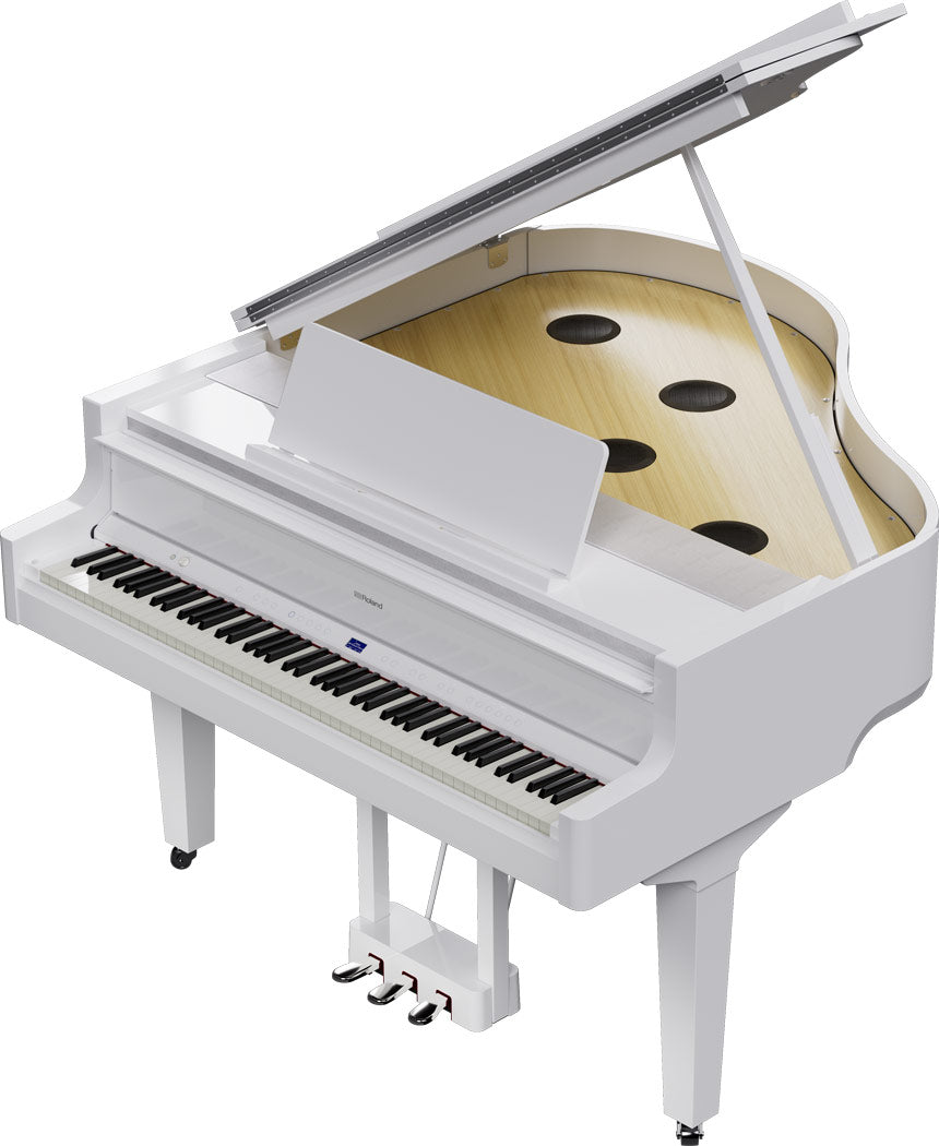 Roland GP-9 Digitale Vleugel PW