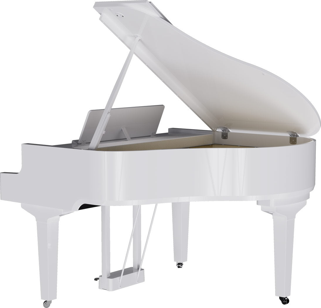 Roland GP-9 Digitale Vleugel PW