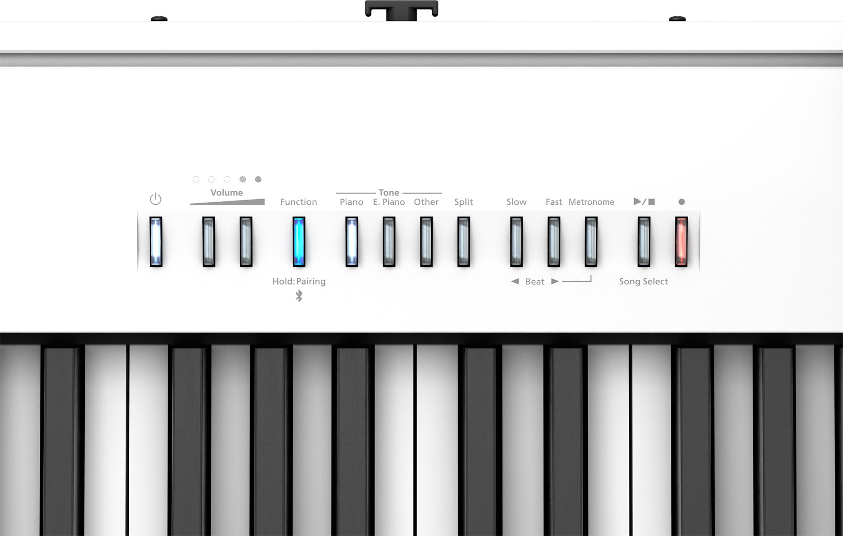 Roland FP-30X wit