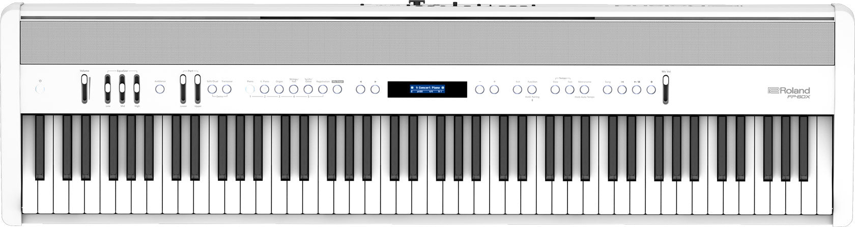 Roland FP-60X wit