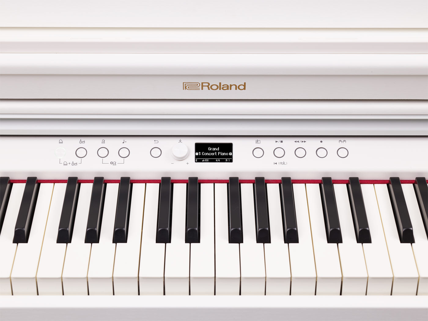 Roland RP-701 wit